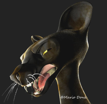Cat ©Mario Donk