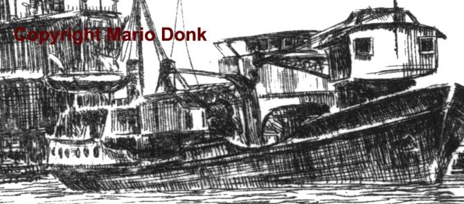 Close up ©Mario Donk